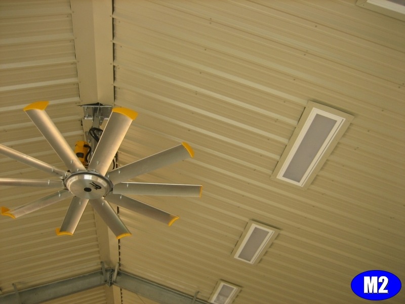 Imgi 11 manvel ag barn